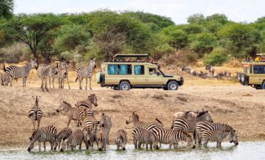 national parks in tanzania wildlife safari