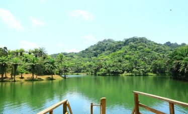 magoroto forest reserve lake in tanzania
