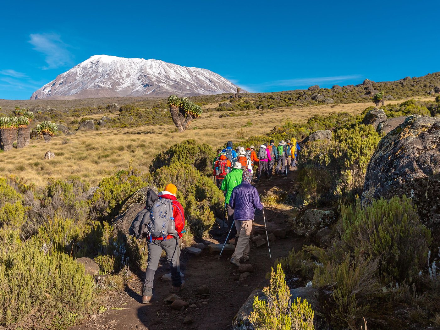 mount kilimanjaro trekking in tanzania