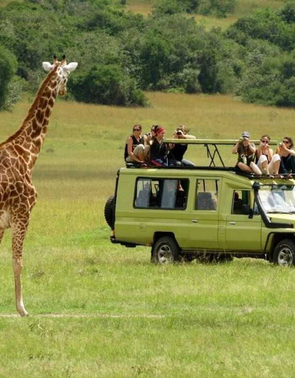 Arusha-National-Park-Day-Trip_1593517254