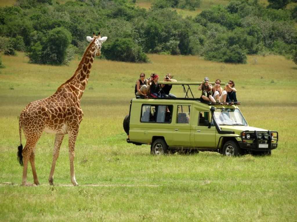 Arusha-National-Park-Day-Trip_1593517254