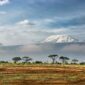 Kilimanjaro_from_Amboseli 85x85