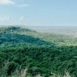 Created with RNI Films app. Profile ‘Fuji Pro 160NS’