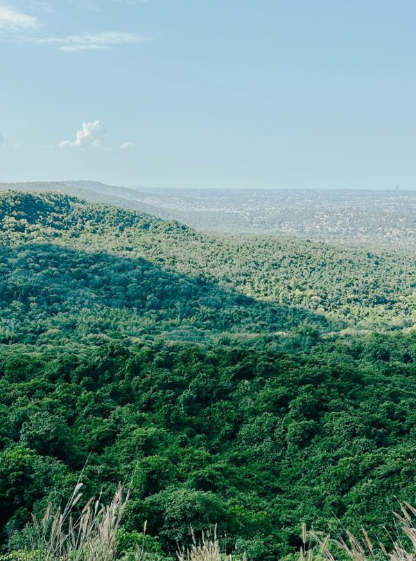 Created with RNI Films app. Profile ‘Fuji Pro 160NS’