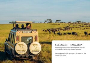 serengati 2 (3)
