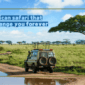 when is the best time to go in tanzania safari tour