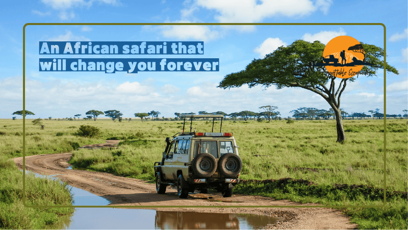 when is the best time to go in tanzania safari tour