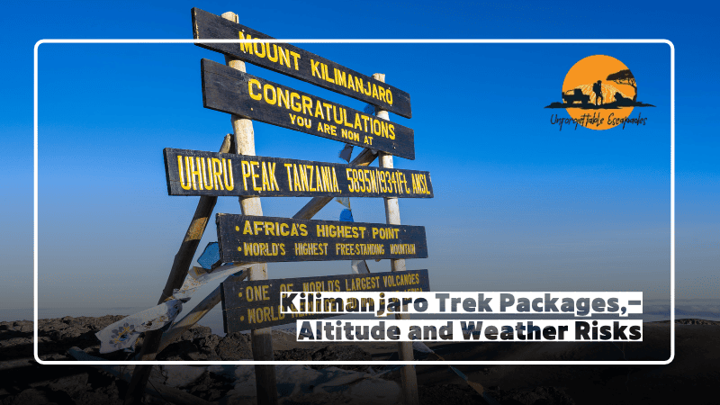 kilimanjaro trek packages showing altitude weather risks and trekking routes