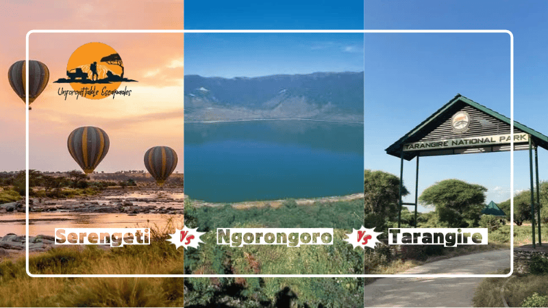 serengeti-ngorongoro-and-tarangire-safari-tours