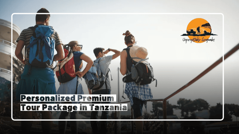 personalized premium tour packages in tanzania